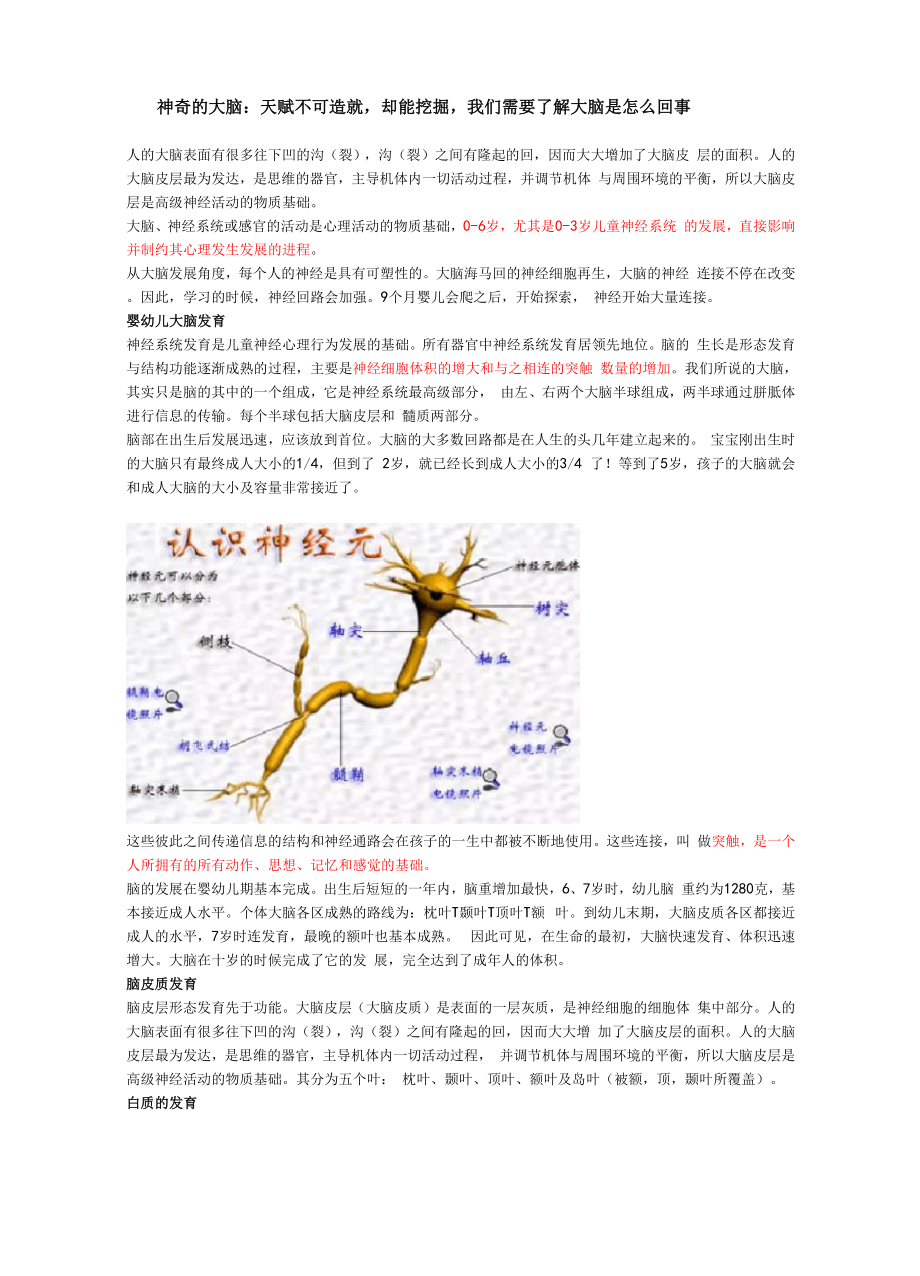 大脑发育和亲子教育关系.docx_第3页