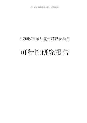 年产6万吨苯加氢制环己烷项目可行性研究报告.doc