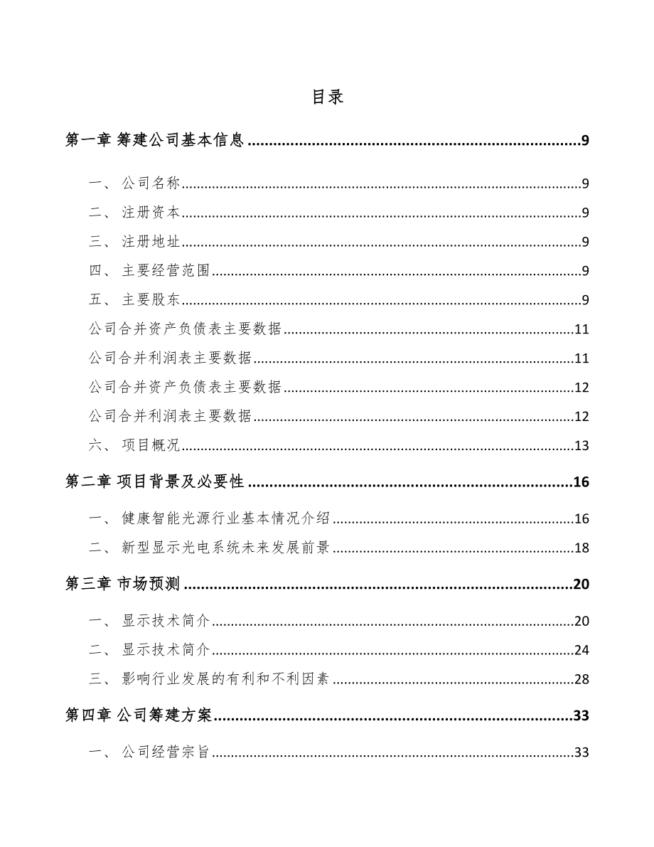 常州关于成立显示设备公司可行性研究报告.docx_第2页