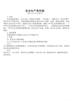 各类人员安全生产职责Microsoft Word 文档 .doc