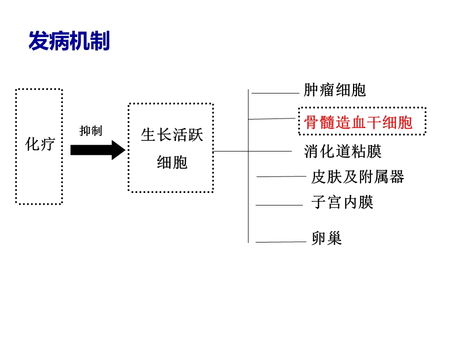 化疗后骨髓抑制的处理与预防.ppt_第3页