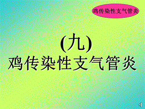 传染性支气管炎0ppt课件.ppt