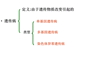 人类遗传病（文科）.ppt