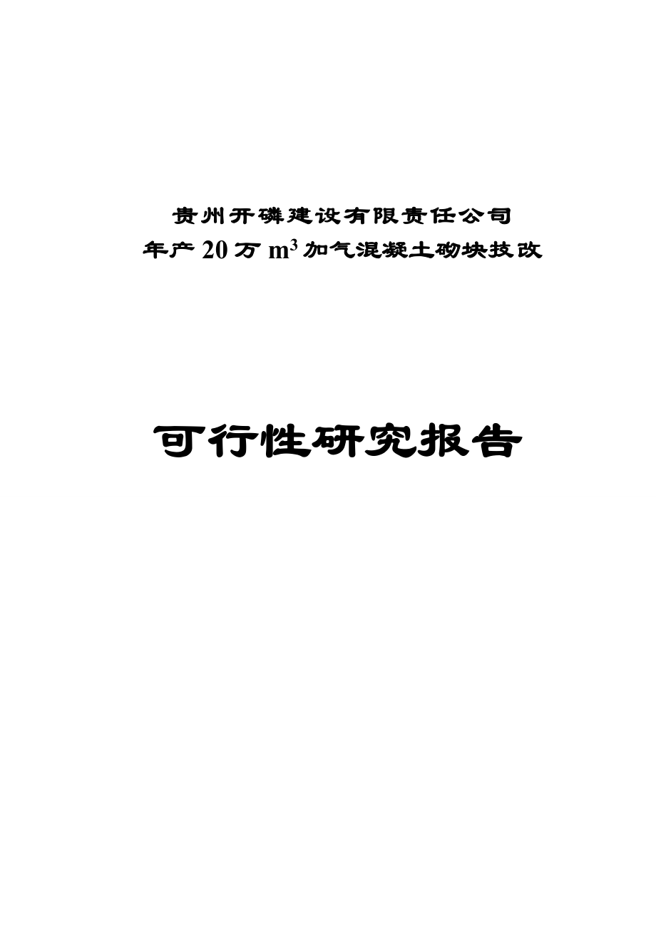 年产20万立方米加气混凝土砌块技术改造项目可行性研究报告.doc_第1页