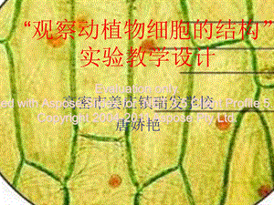 观察动植物细胞的结构.ppt