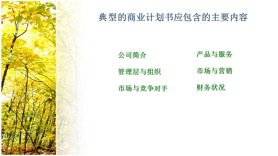 商业计划书制作要点.ppt_第3页