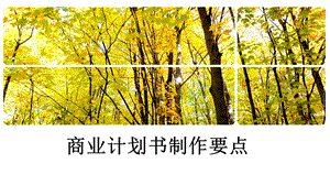 商业计划书制作要点.ppt