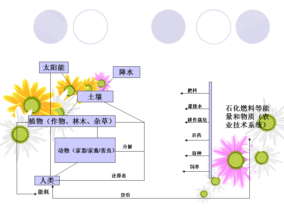 可持续发展第七章第二节.ppt_第3页