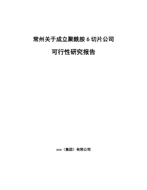 常州关于成立聚酰胺6切片公司可行性研究报告.docx