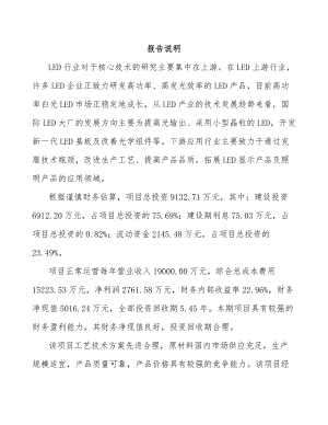 常州LED显示屏项目可行性研究报告.docx