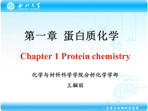 化学生物学导论蛋白质化学.ppt