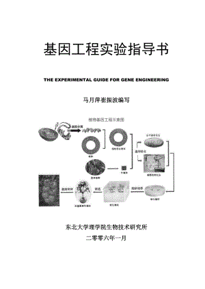 基因工程试验指导书.docx