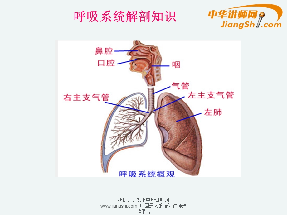 何飞：药店季常见病的营销技巧ppt课件.ppt_第3页