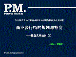 商业步行街规划与招商.ppt