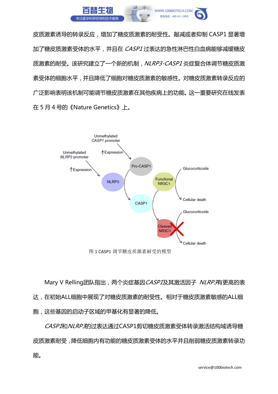 【独家权威解读】Nature Genetics,糖皮质激素耐受新机制 ——为急性淋巴细胞白血病等疾病提供新思路.doc_第3页