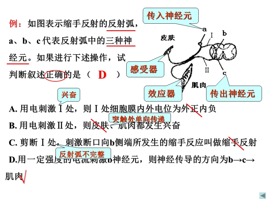 历史学业水平测试考前辅导.ppt_第1页