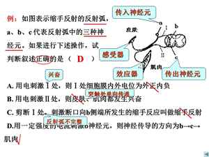 历史学业水平测试考前辅导.ppt