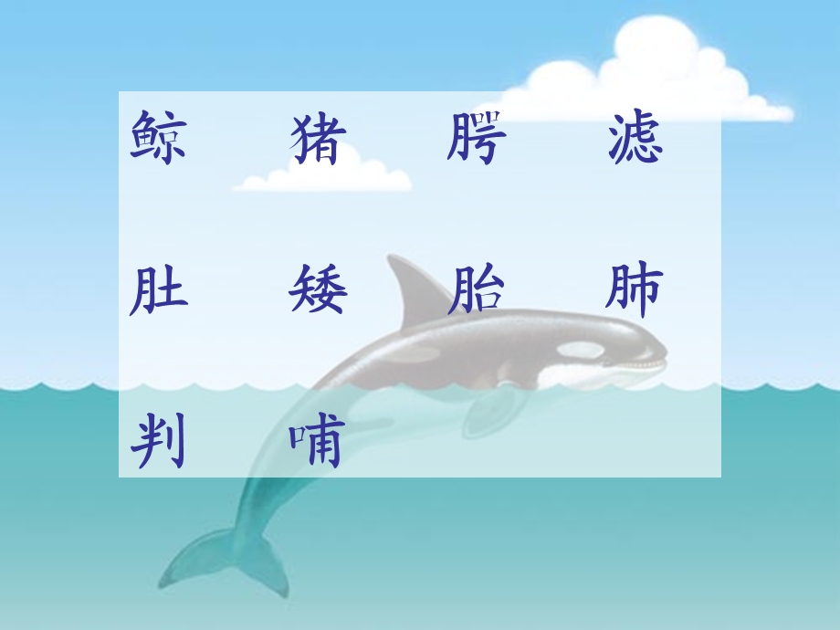 《鲸》课件(A).ppt_第2页