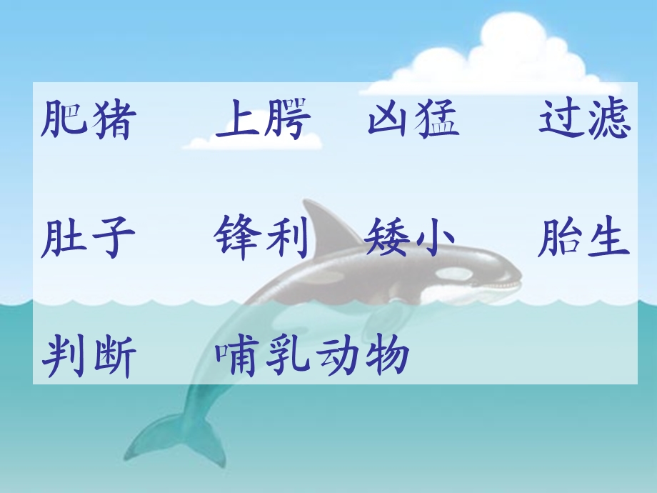 《鲸》课件(A).ppt_第3页