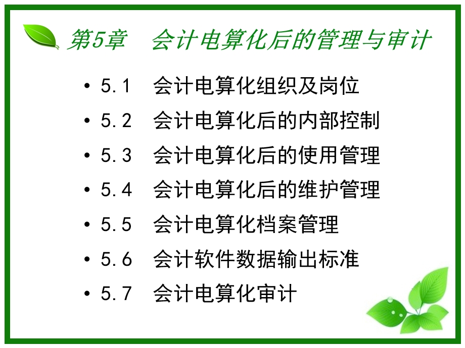 会计电算化后的管理与审计.ppt_第3页