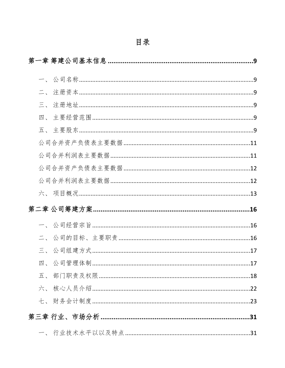 常州关于成立印版公司可行性研究报告.docx_第2页