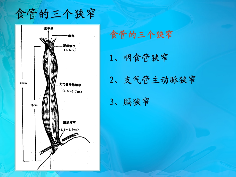 食管癌术前术后护理ppt课件.ppt_第2页