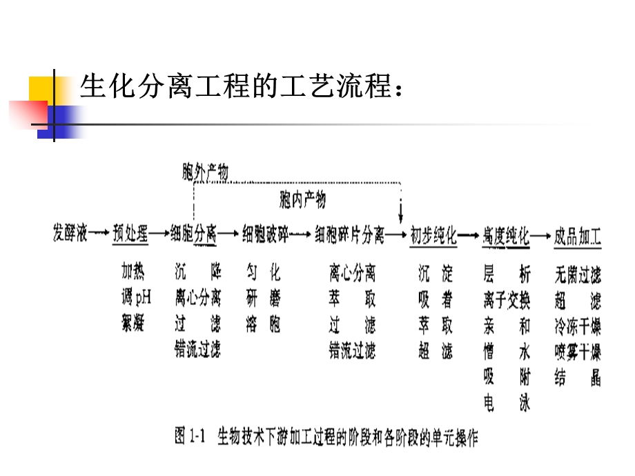 发酵液的预处理和菌体回收.ppt_第2页