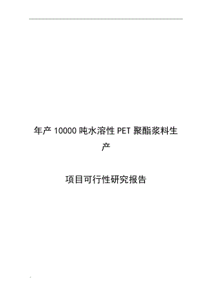 年产10000吨水溶性PET聚酯浆料生产项目可行性研究报告.doc