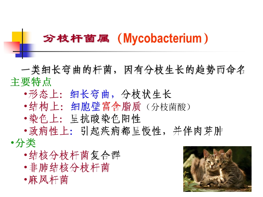 呼吸道感染细菌-TB.ppt_第3页