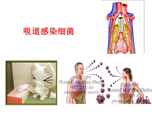 呼吸道感染细菌-TB.ppt