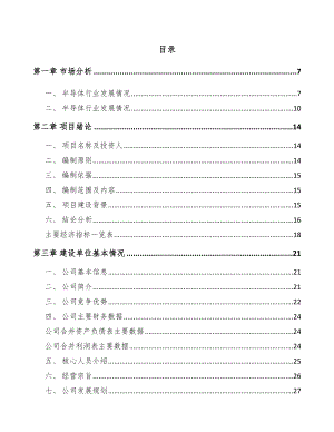 常州半导体硅片项目可行性研究报告.docx