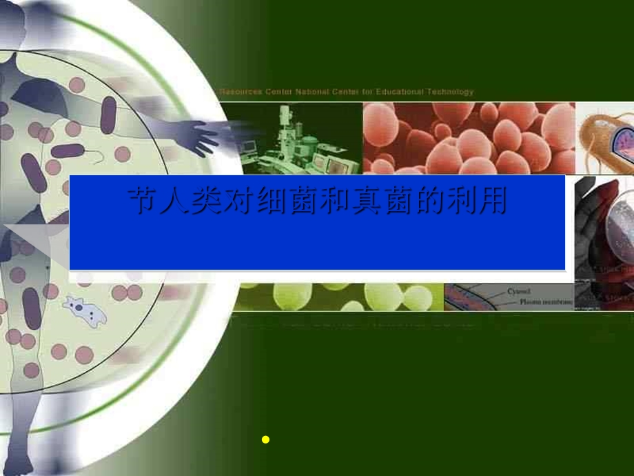 人类对细菌和真菌的利用ppt.ppt_第1页