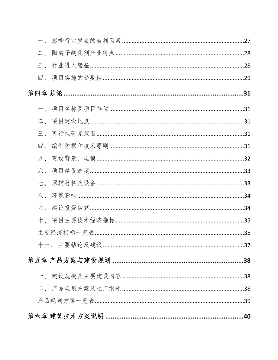 平顶山醚化剂项目可行性研究报告.docx_第3页