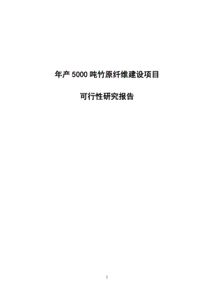 年产5000吨竹原纤维建设项目可行性研究报告.doc