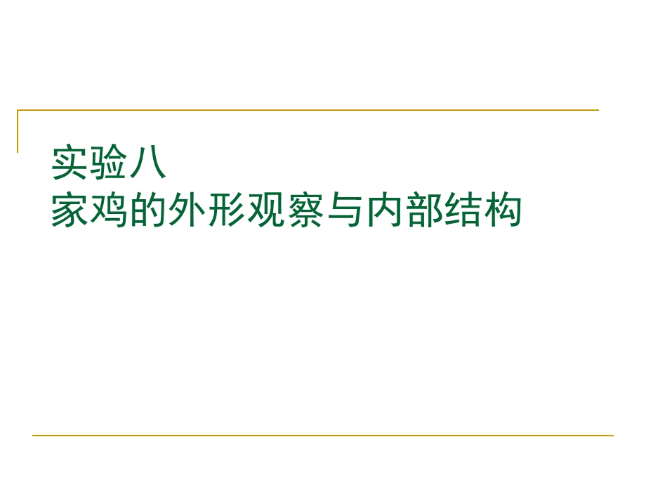 华中农业大学普通动物学实验.ppt_第1页