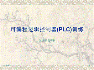 可编程逻辑控制器PL.ppt