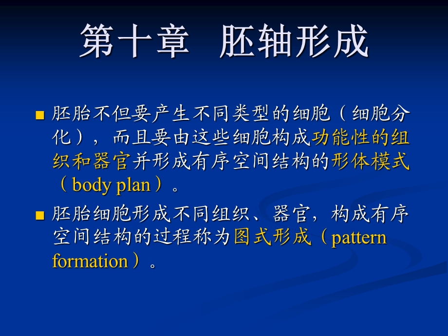 发育生物学第十章果蝇的胚轴形成.ppt_第1页