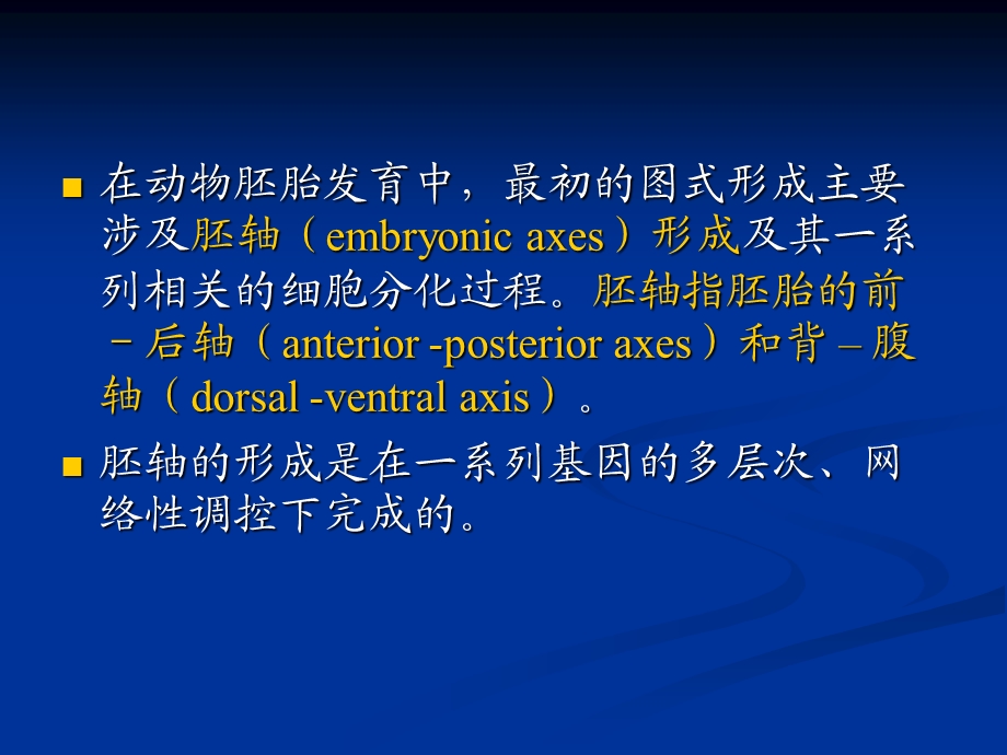 发育生物学第十章果蝇的胚轴形成.ppt_第3页