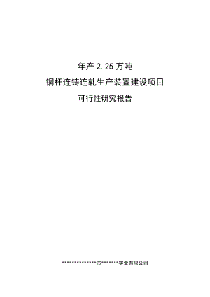 【经管类】年产万吨铜杆连铸连轧生产装置建设项目可行性研究报告.doc