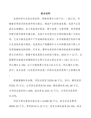 巴彦淖尔高分子材料项目可行性研究报告.docx