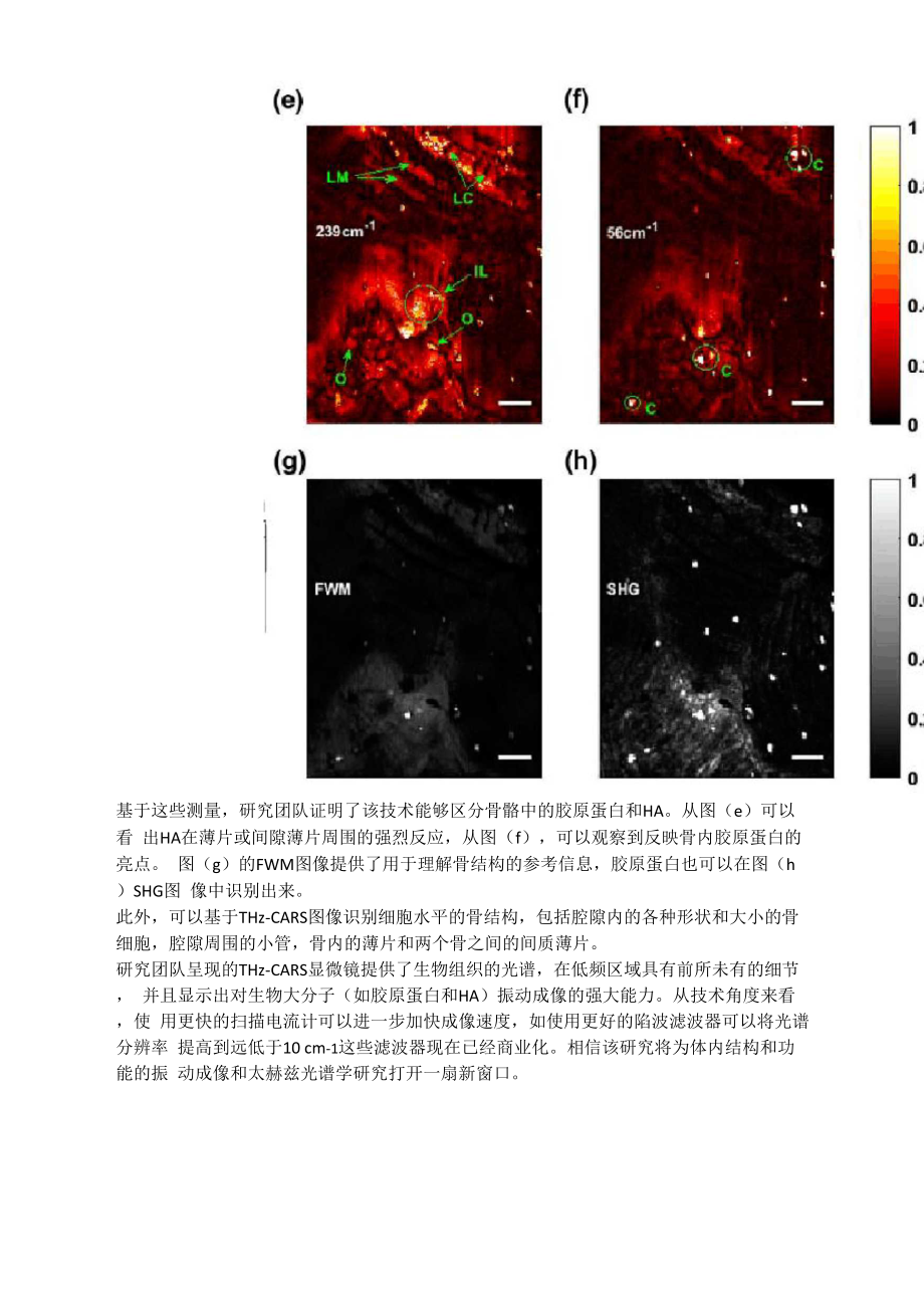 太赫兹相干反斯托克斯拉曼散射.docx_第3页