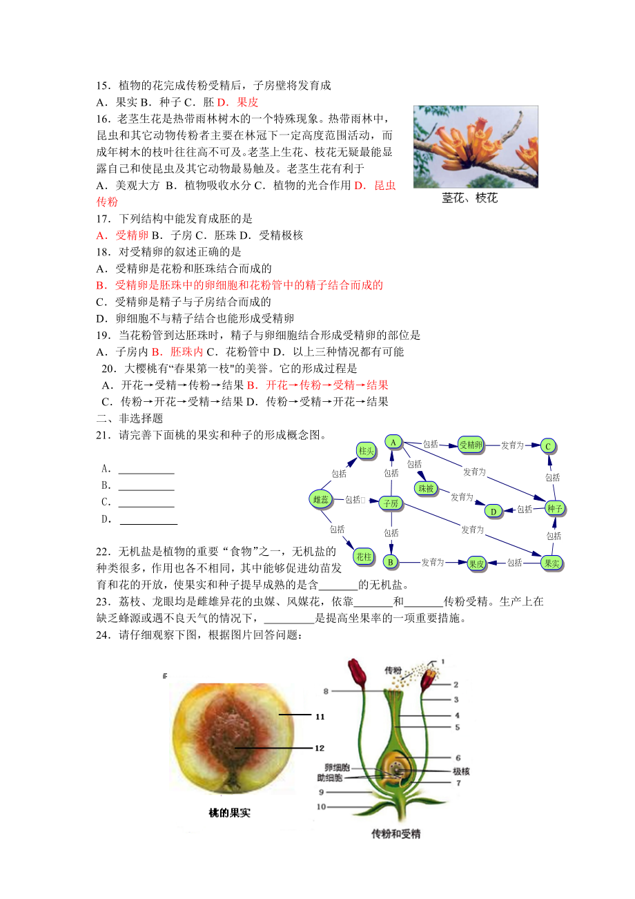 开花和结果测试(吉林张硕).doc_第2页