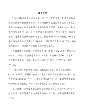 常州液晶显示材料项目可行性研究报告.docx