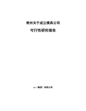 常州关于成立模具公司可行性研究报告.docx