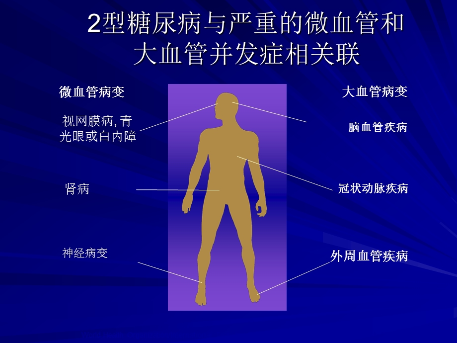 糖尿病社区管理北京同仁医院内分泌科袁申元.ppt_第2页