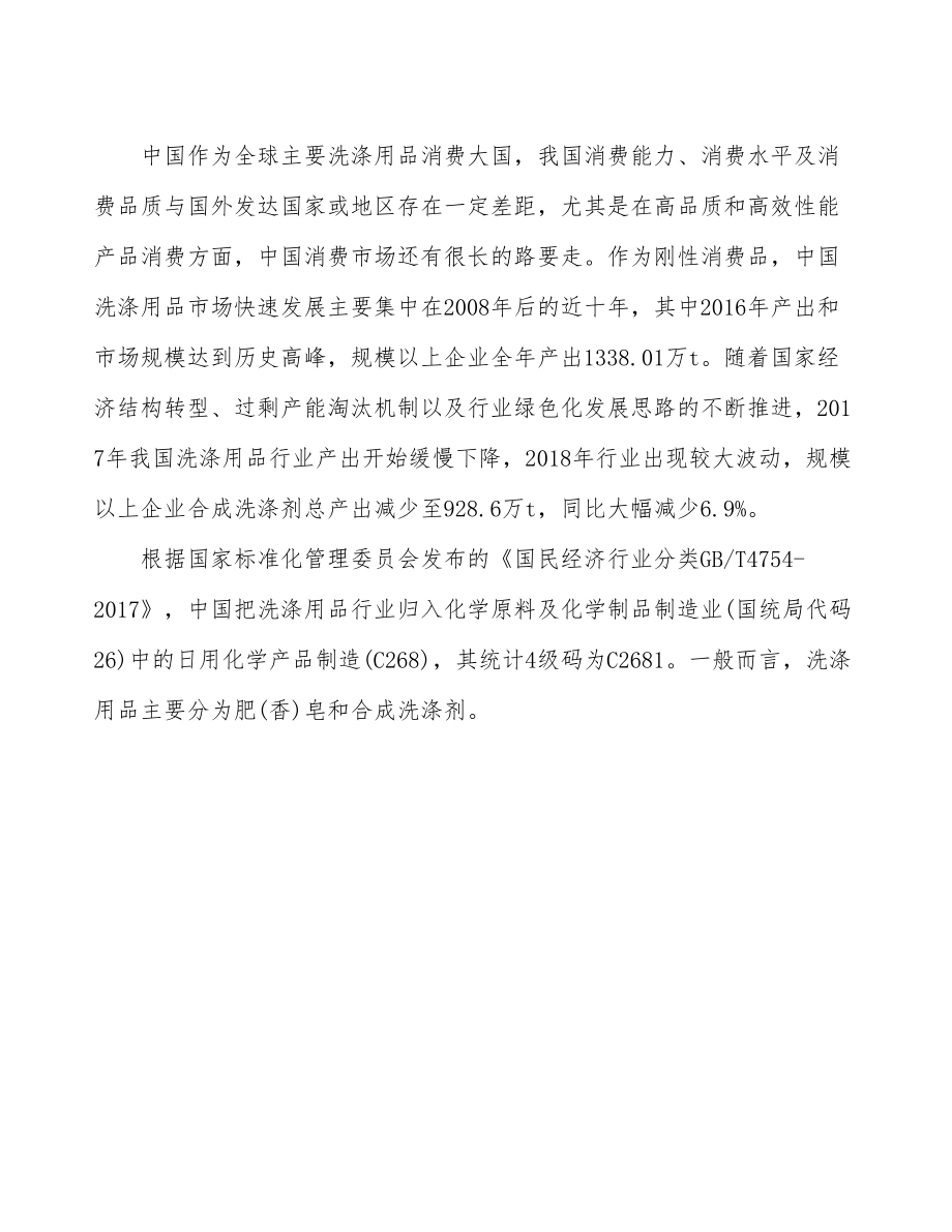 常州洗涤用品生产线建设项目可行性研究报告.docx_第3页