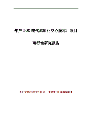 年产500吨气流膨化空心脆枣厂项目可行性研究报告.doc