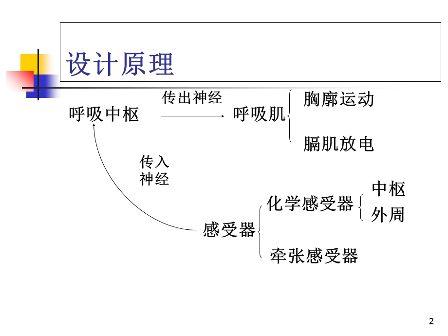 呼吸运动调节及膈肌放电.ppt_第2页