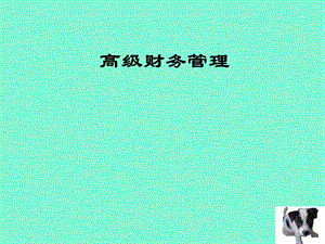 企业价值管理.ppt