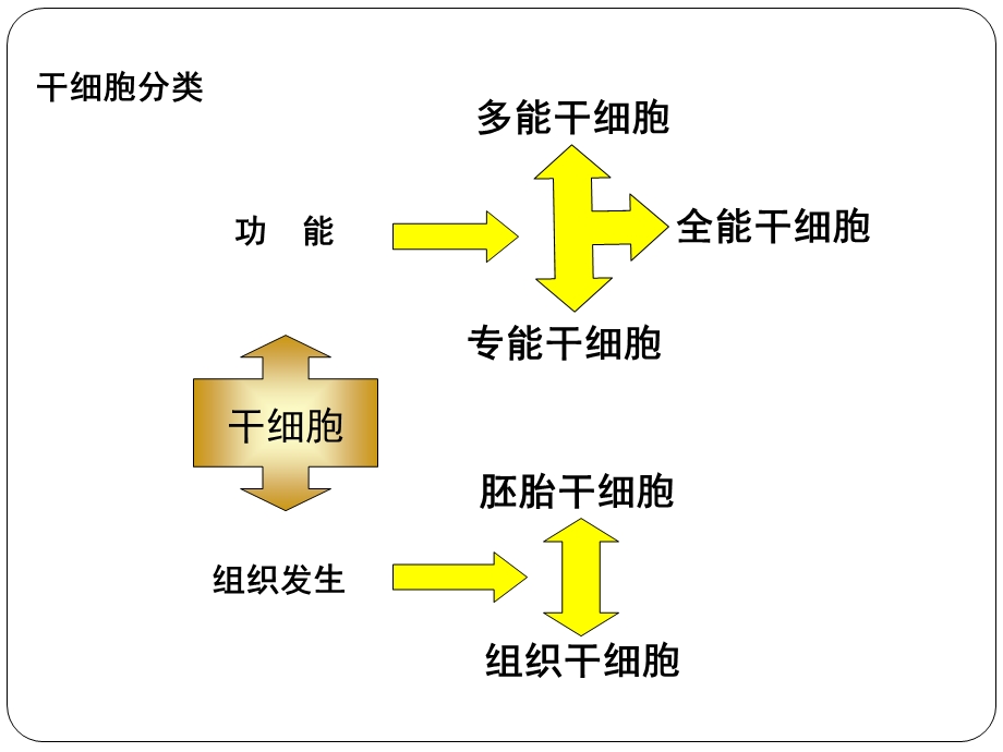 哺乳动物胚胎干细胞技术.ppt_第3页